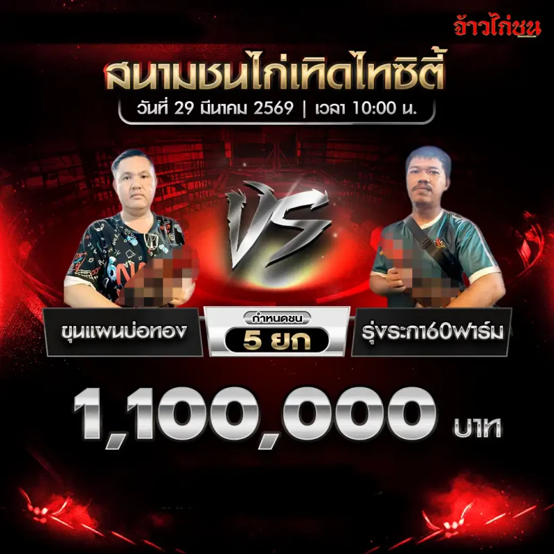 ขุนแผนบ่อทอง พบ รุ่งระกา60ฟาร์ม โปรแกรมไก่ชน สนามชนไก่เทิดไทซิตี้ 29 มีนาคม 2569
