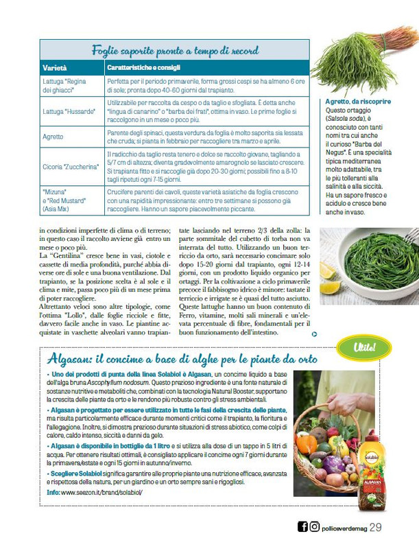 Pol Ver Feb 2026 (8)