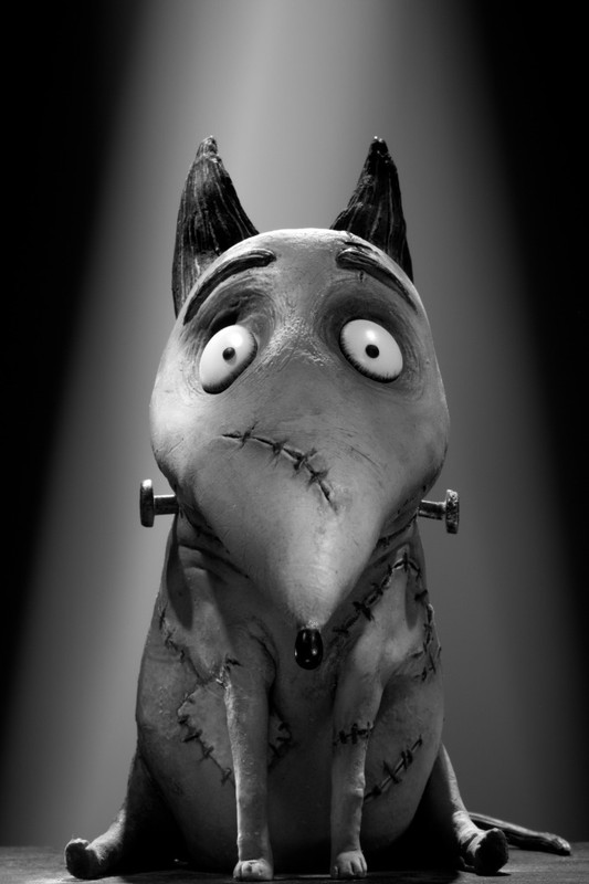 888_DS_SPKY_ANI_TK02-1329847672
