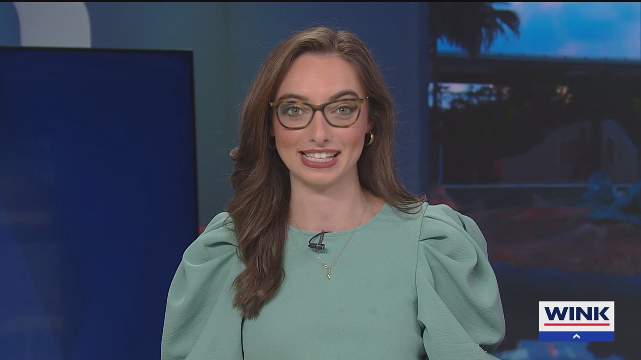 WINK News at 11_20250209_04000500.ts_snapshot_00.10.02.375