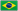 bra.png