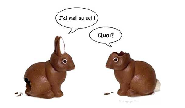 Sans titre 1