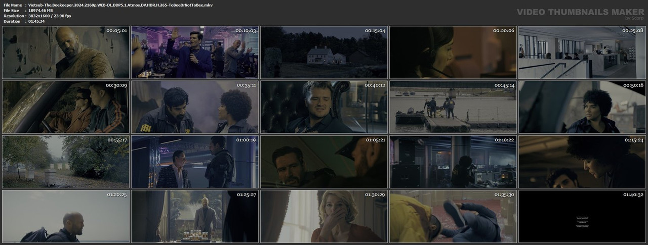 Vietsub-The-Beekeeper-2024-2160p-WEB-DL-DDP5-1-Atmos-DV-HDR-H-265-To-Bee-Or-Not-To-Bee-mkv.jpg