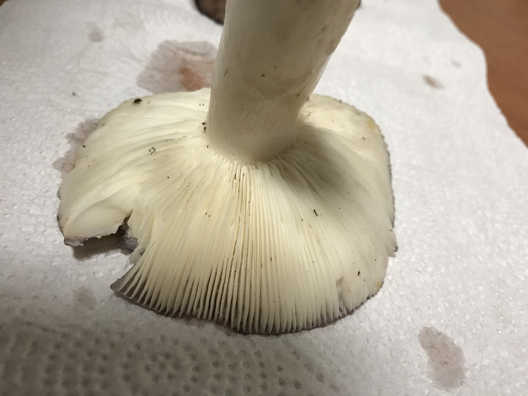 8475CD3E-16EC-44FE-8D2F-4CDFE335B56B