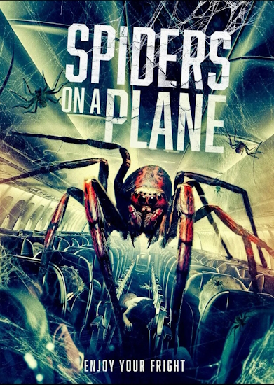 Spiders-on-a-Plane.jpg