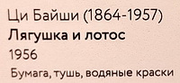 https://i.postimg.cc/05zzT7hg/2.jpg