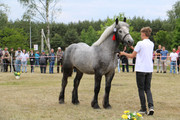 IMG-7304-wynik