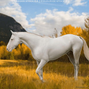 8845DEFE-17E0-4053-A7B0-542EFAB11565