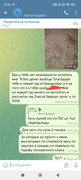 IMG-20250107-213251-968