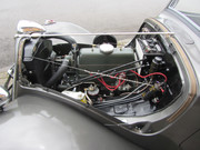 IMG-2750.jpg