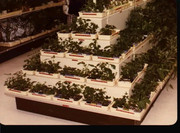 FB_IMG_16611071605485434