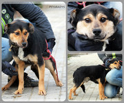 Be-Funky-collage-21.jpg&key=c6034b96bdb6