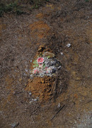 2.1.melted plastic flowers I (cropped)