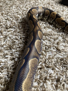 D5D29F55-082A-4AB6-B6C2-ADEEDADCADB8