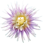 0_1499a6_b3ac33f6_orig