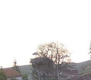 Kép