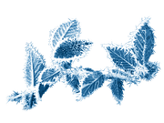 BC-ATaste-Of-Winter-El-69