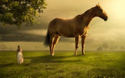 girl-horse-landscape-4k-t1.jpg