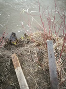 IMG-20200509-212250