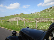 IMG-6911.jpg