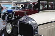 IMG-3531.jpg