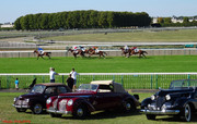 DSC05681.jpg