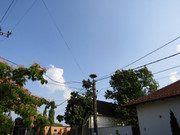 Kép