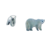 3-2233236