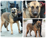 Be-Funky-collage-21.jpg&key=f80a7571d5ad