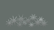 2021-12-24-065759-1920x1080-scrot.png