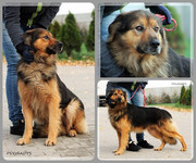 Be-Funky-collage-17.jpg&key=ca9550493a20