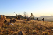 IMG-0150