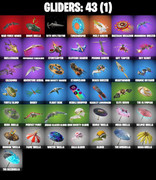 gliders-comp