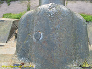 IMG-9353
