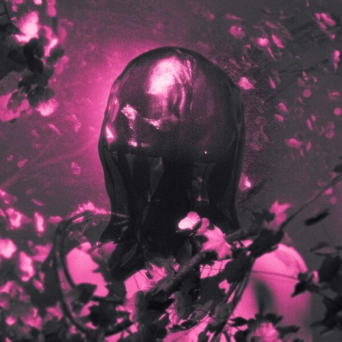 Pinknoise-FLESH-AND-BONE-EP-WEB-2026-ENT