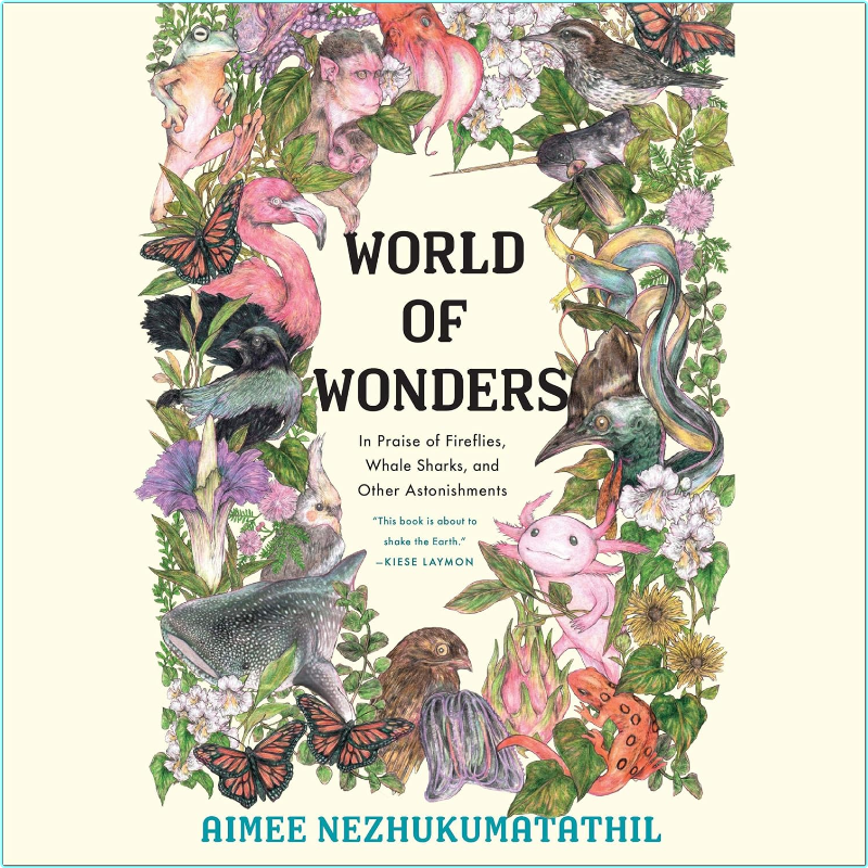 [Image: p87s14unlcbf.png]