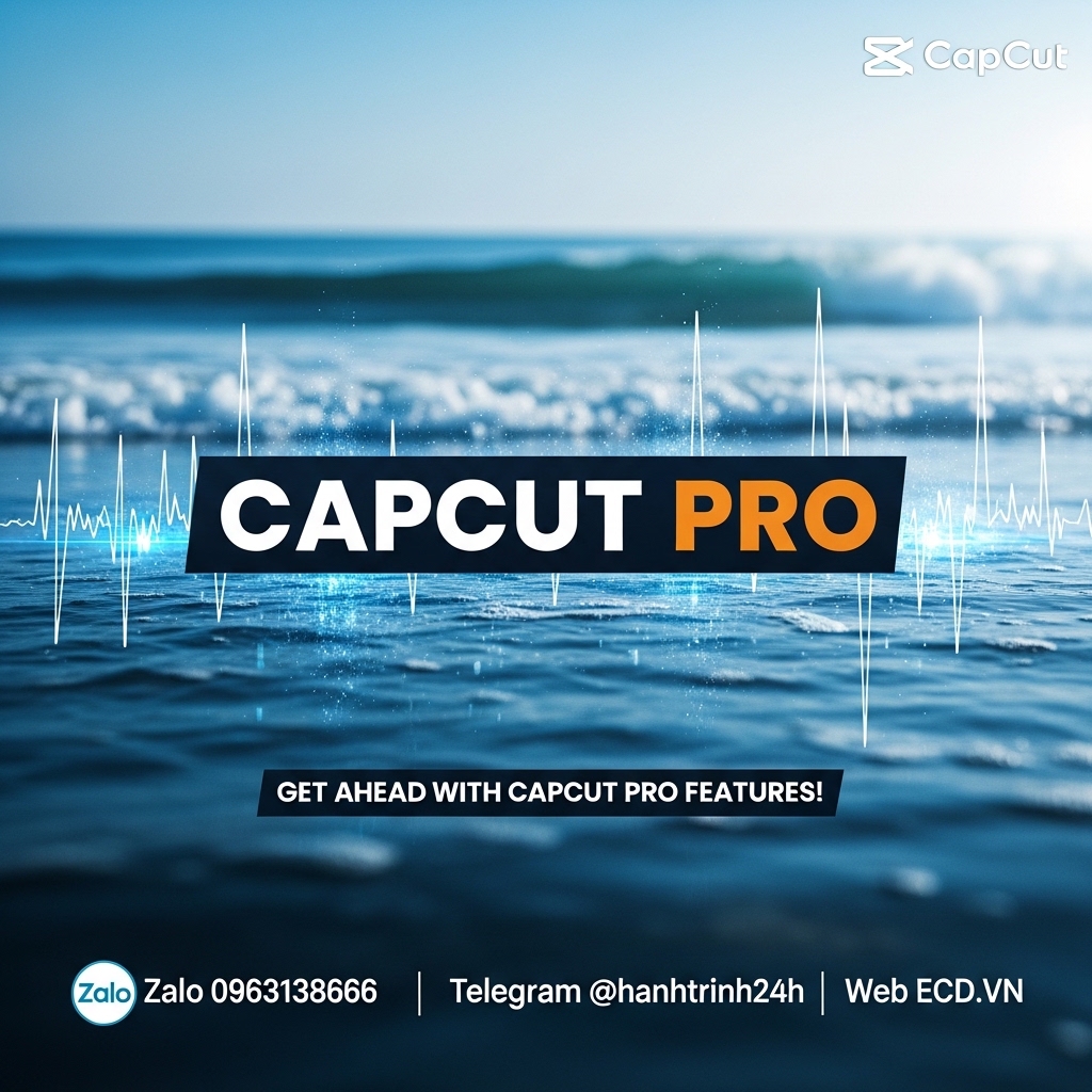 contact capcut verified