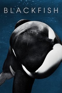 Blackfish-2013-1080p-Blu-Ray-x265-RARBG.