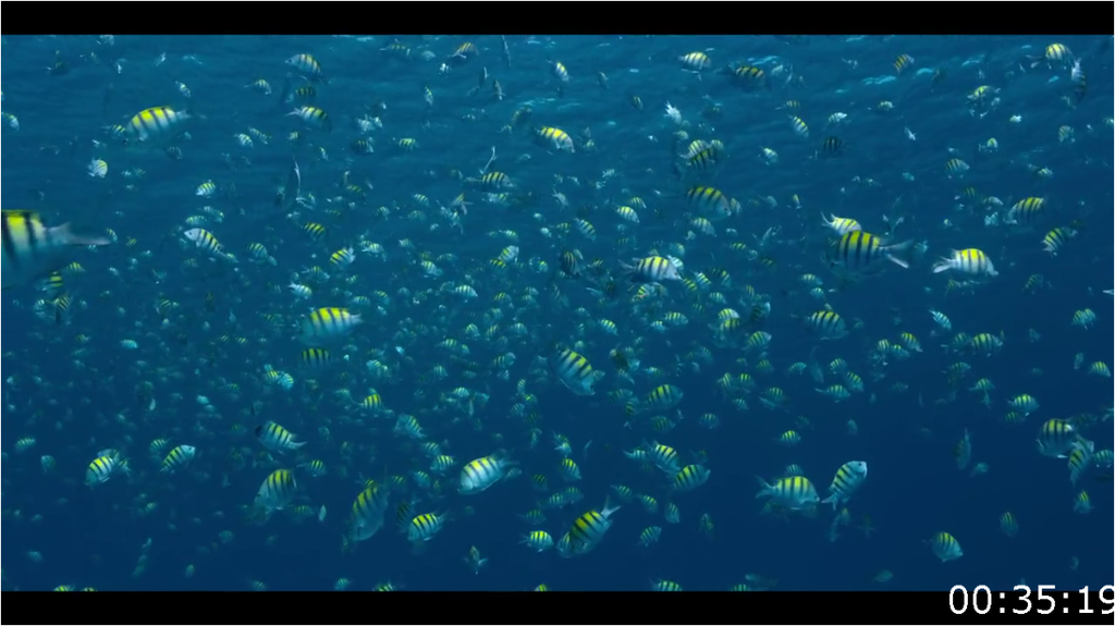 [Image: 3q1q8lcm9sdf.png]