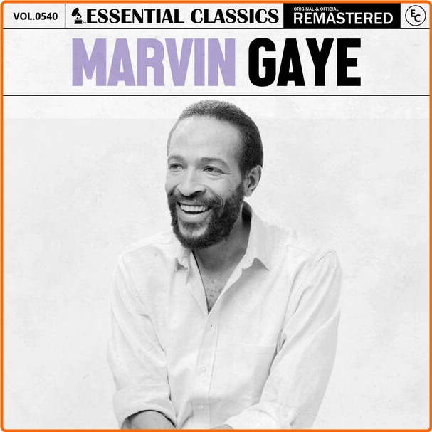 [Image: 85h1ay6bvbul.png]