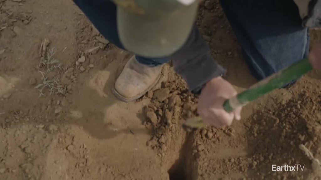 [Image: qyf9650zrczt.jpg]