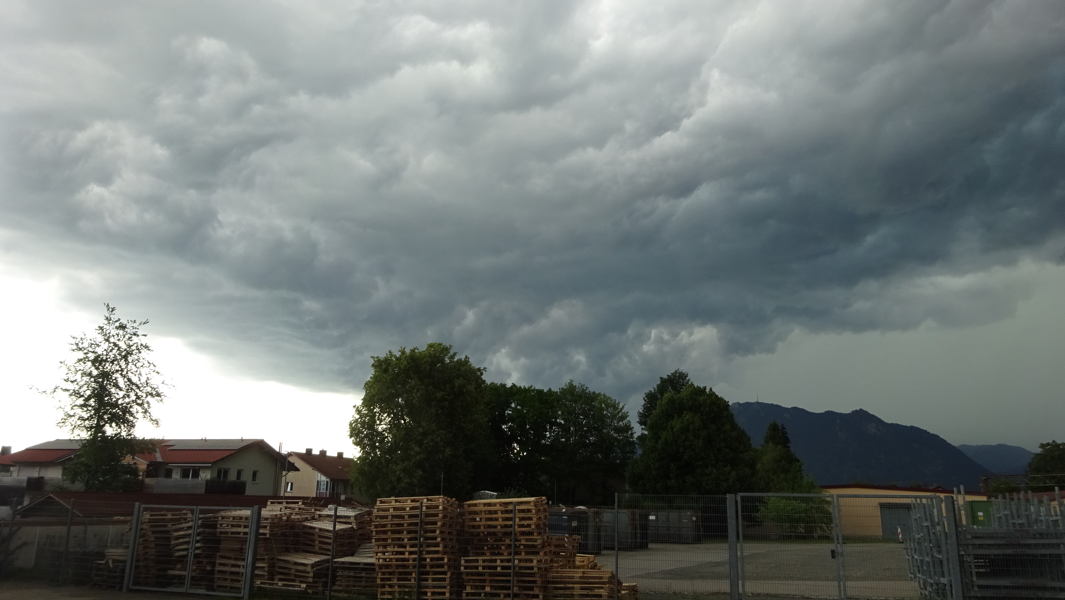 Bild