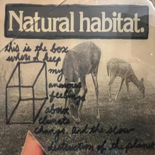 Sly Jr. - Natural Habitat (2026)