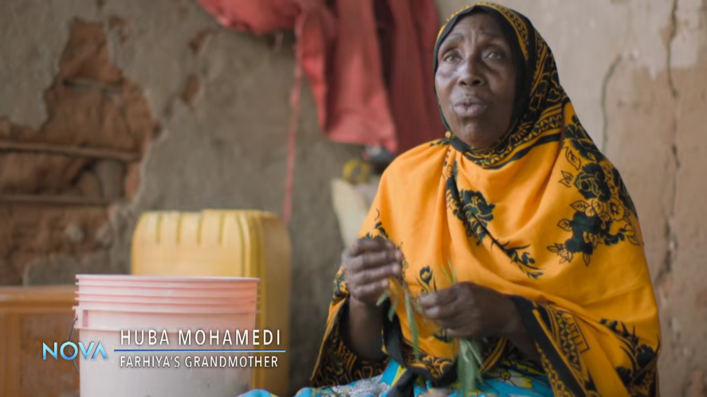 [Image: 6owl1n5ndh4x.png]