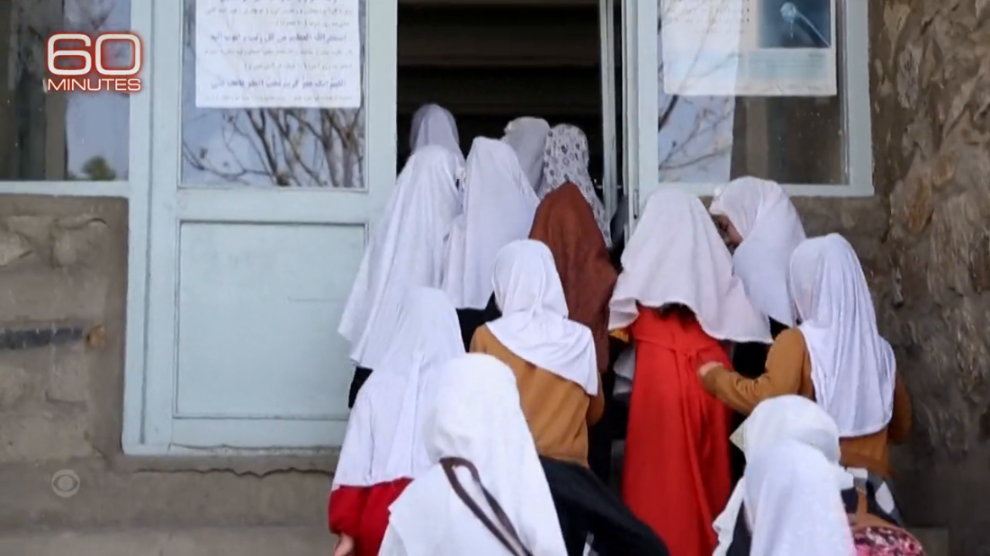 [Image: e8iemc5y6sc4.png]