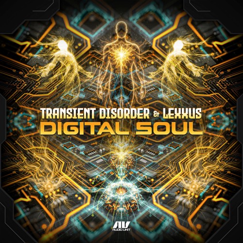 00-transient-disorder-and-lexxus-digital
