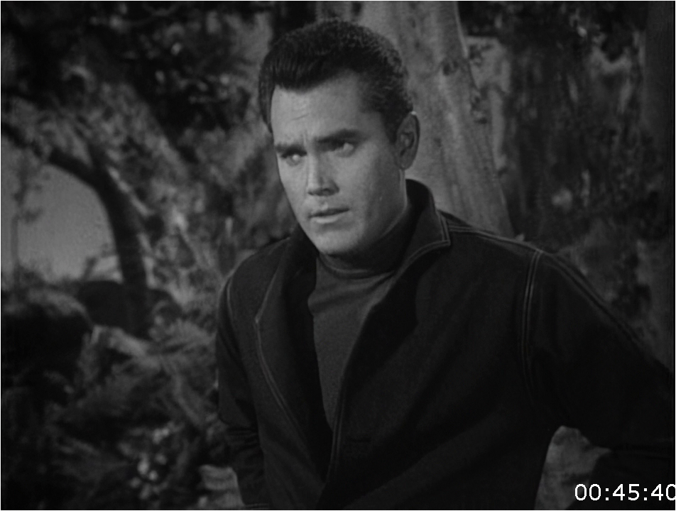 [Image: i4ml2w8pc5vh.png]