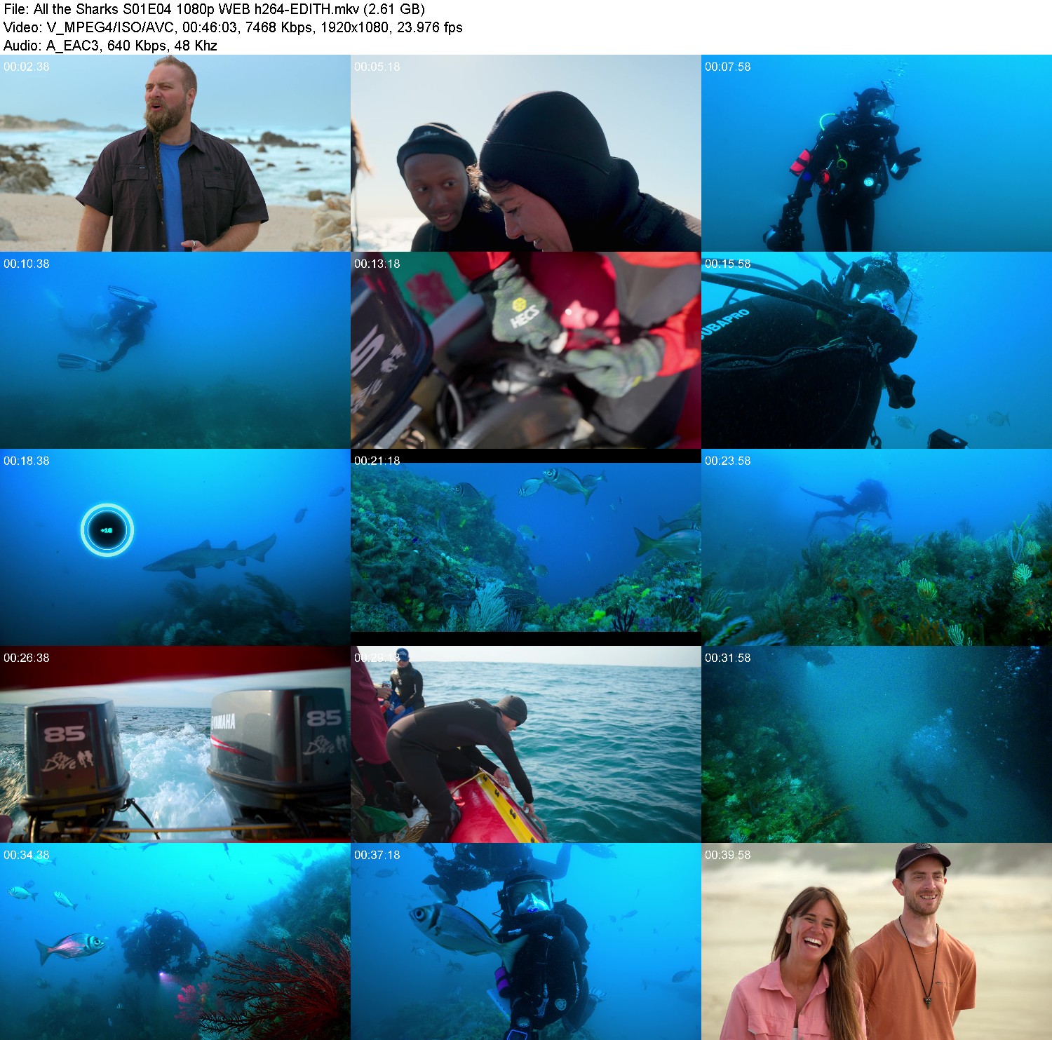 [Image: 2oi18ctl2sse.jpg]