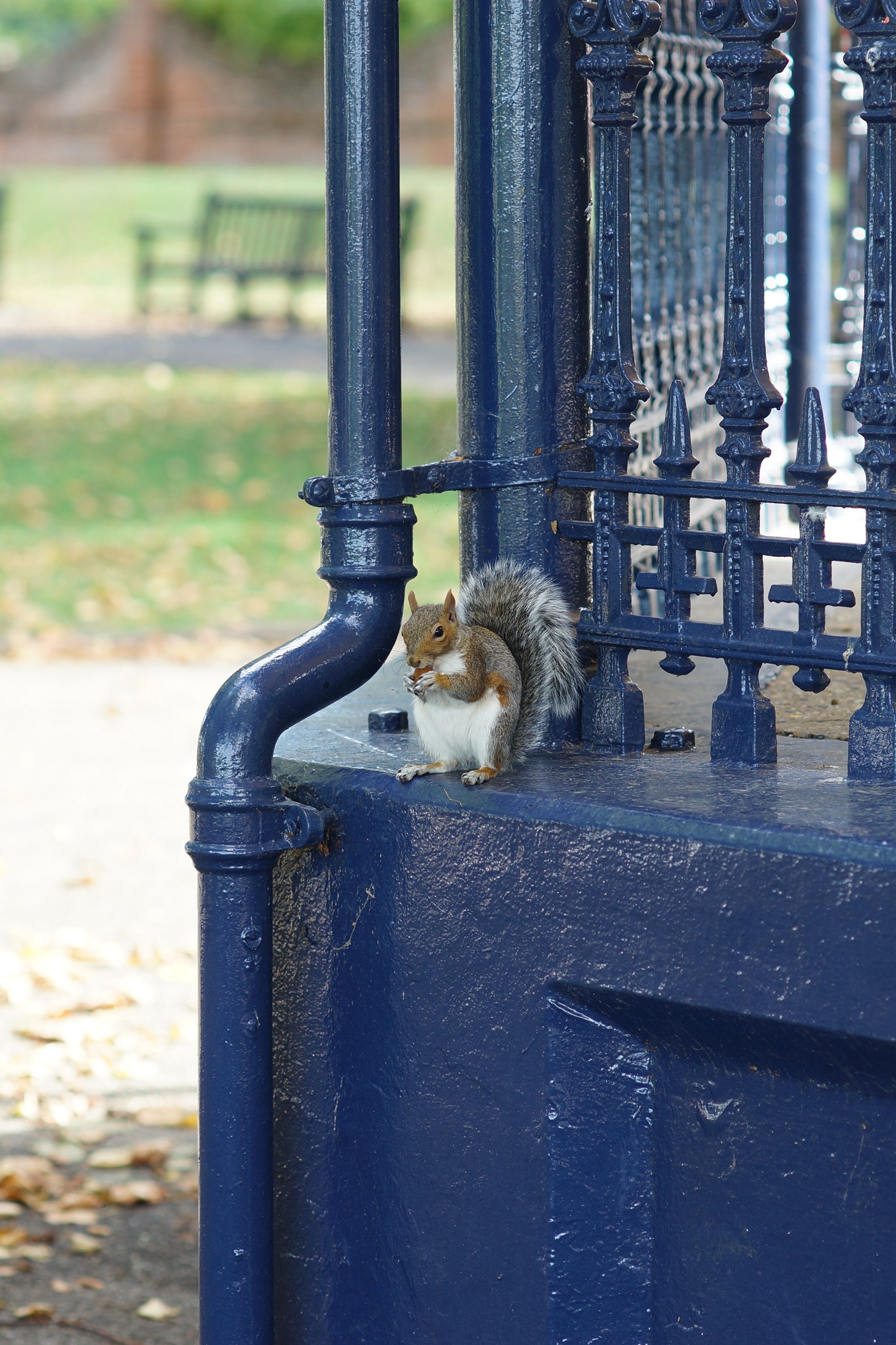 DSC01684.jpg