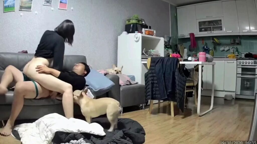 200930-mp4-000326095-1024x576
